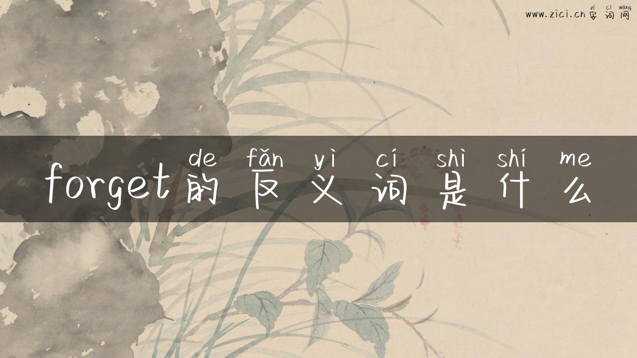 forget的反义词是什么