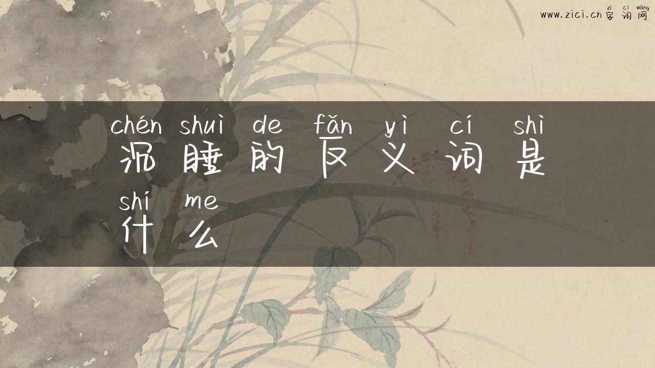 沉睡的反义词是什么