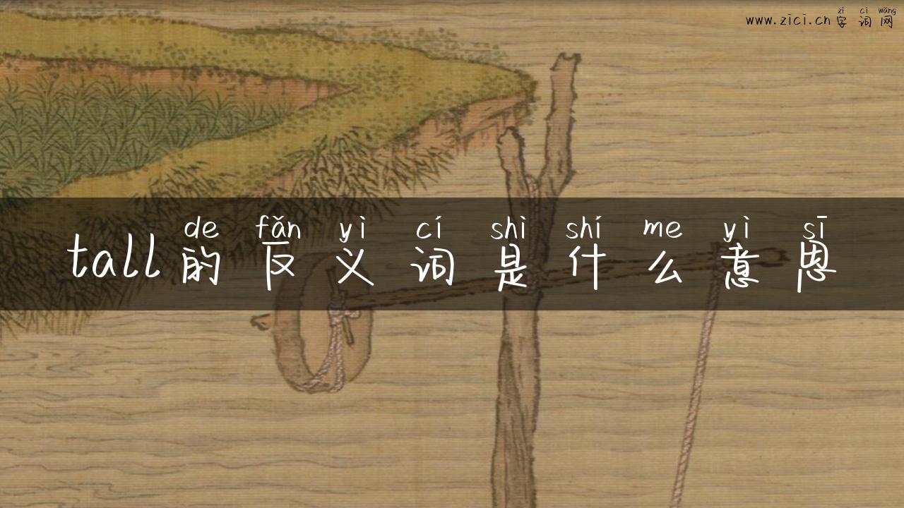tall的反义词是什么意思
