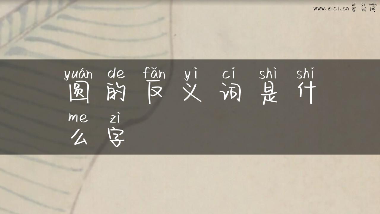 圆的反义词是什么字