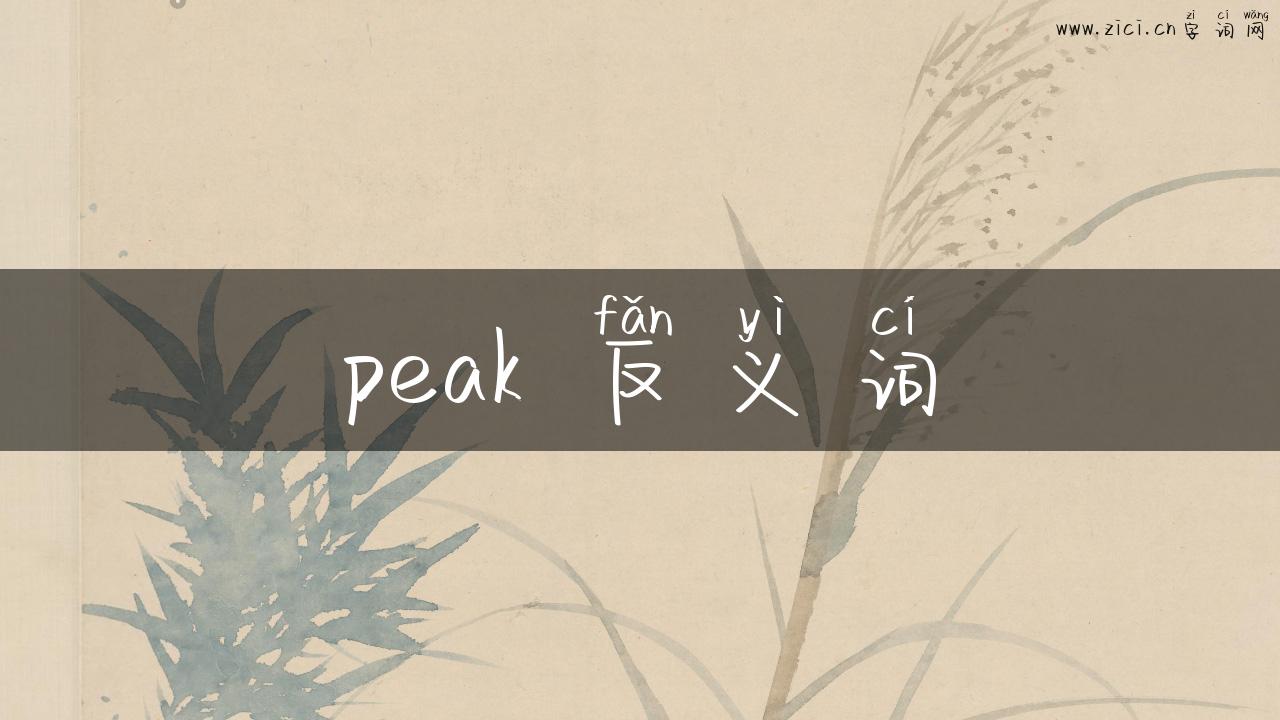 peak 反义词