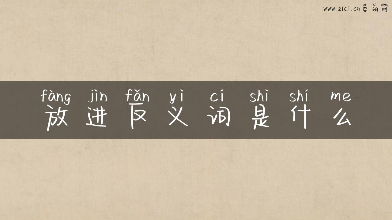 放进反义词是什么