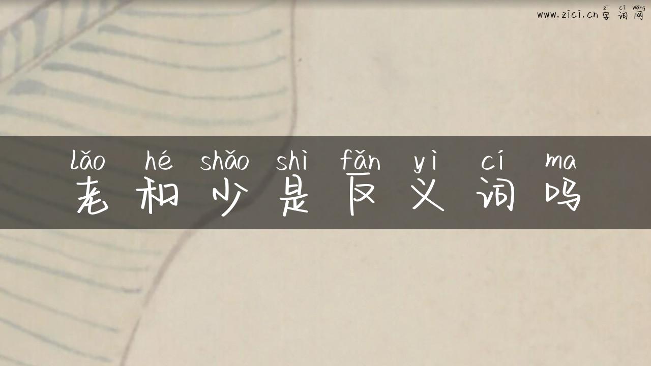 老和少是反义词吗