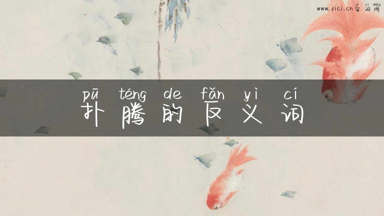扑腾的反义词