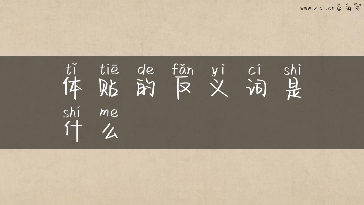 体贴的反义词是什么