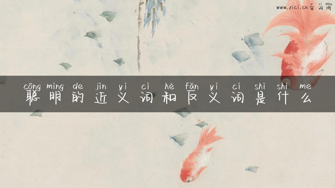 聪明的近义词和反义词是什么