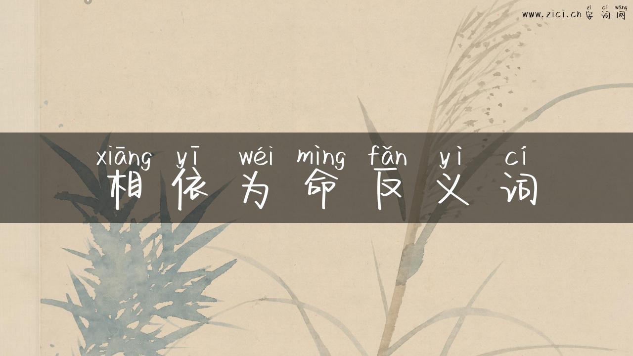 相依为命反义词