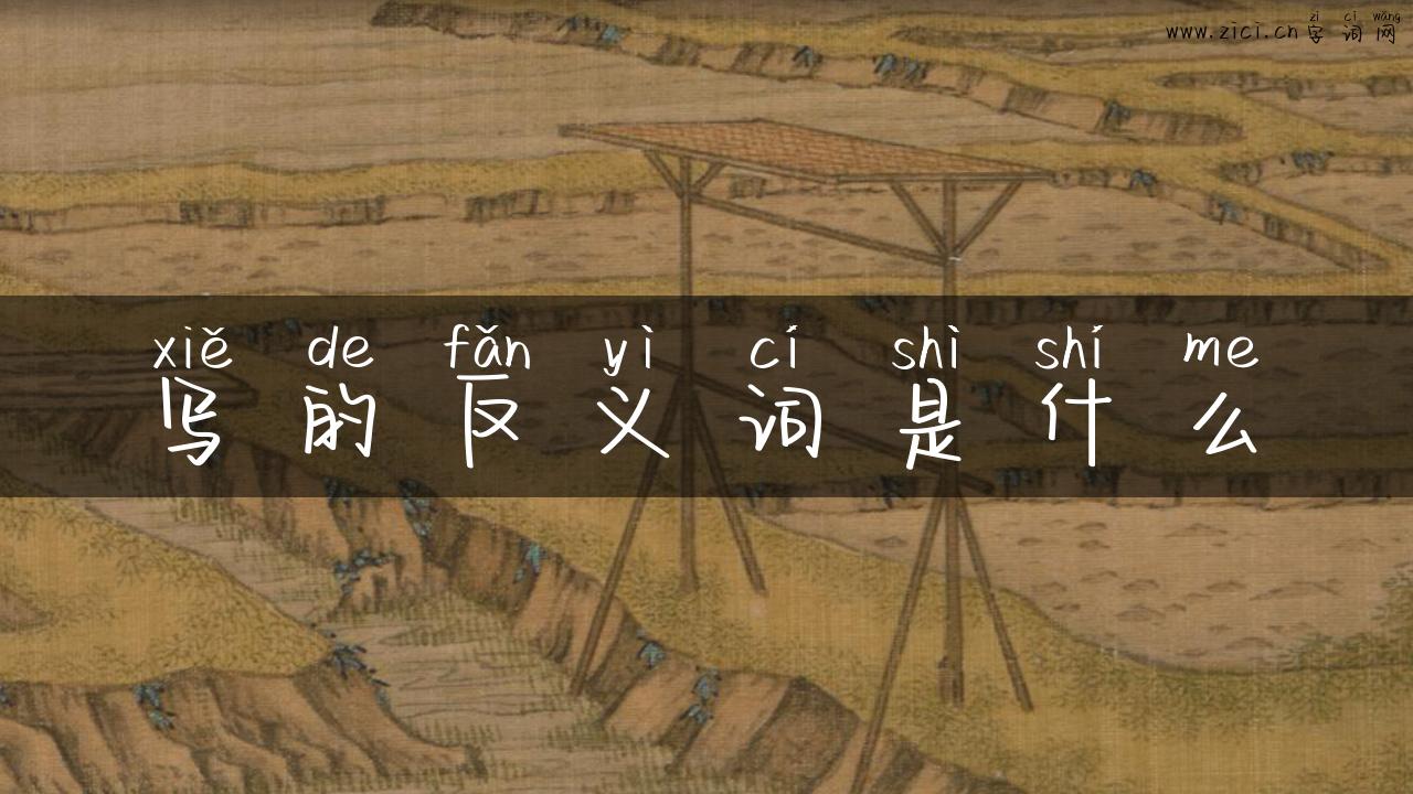 写的反义词是什么
