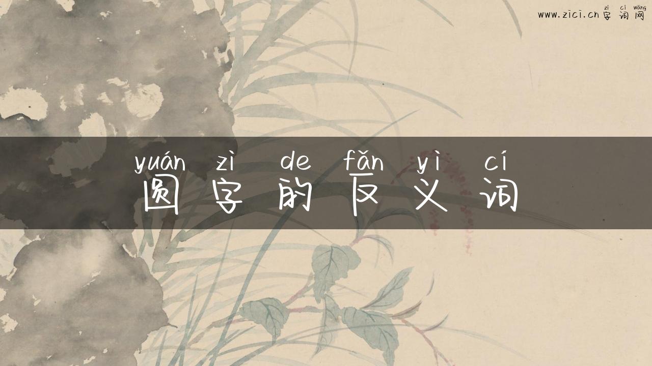 圆字的反义词