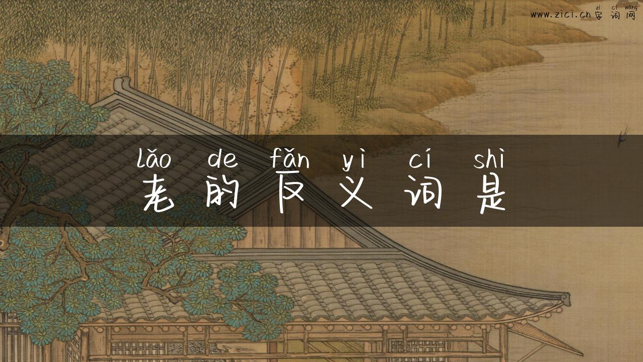 老的反义词是