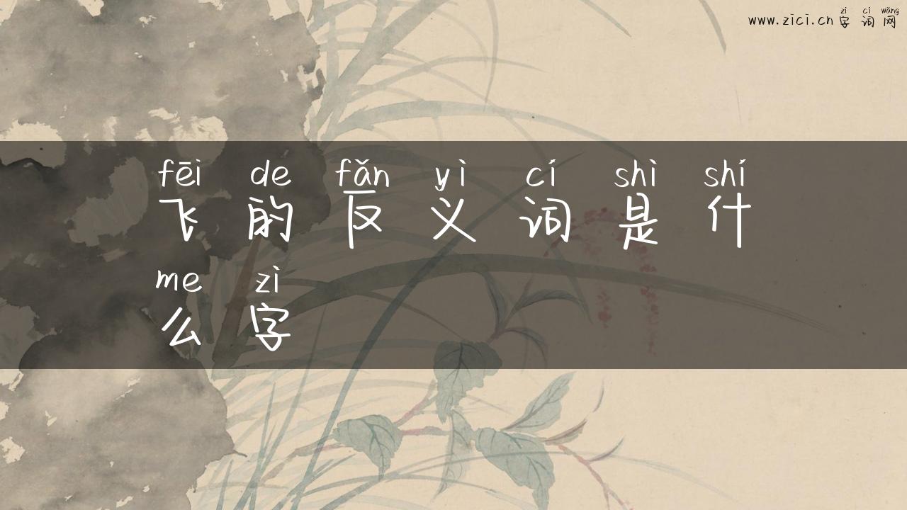 飞的反义词是什么字