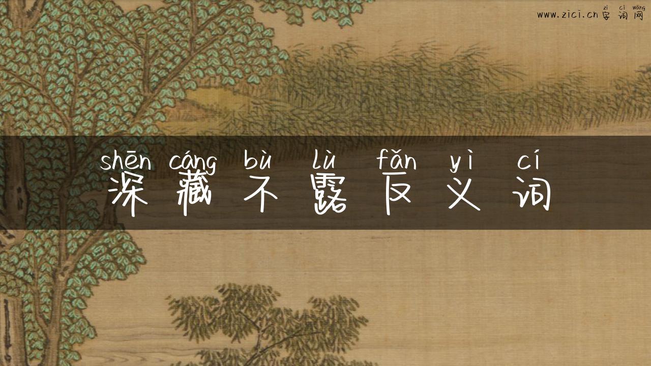 深藏不露反义词