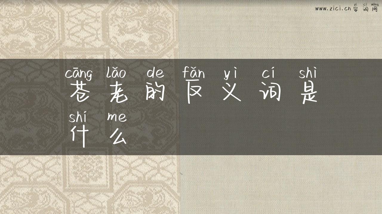 苍老的反义词是什么