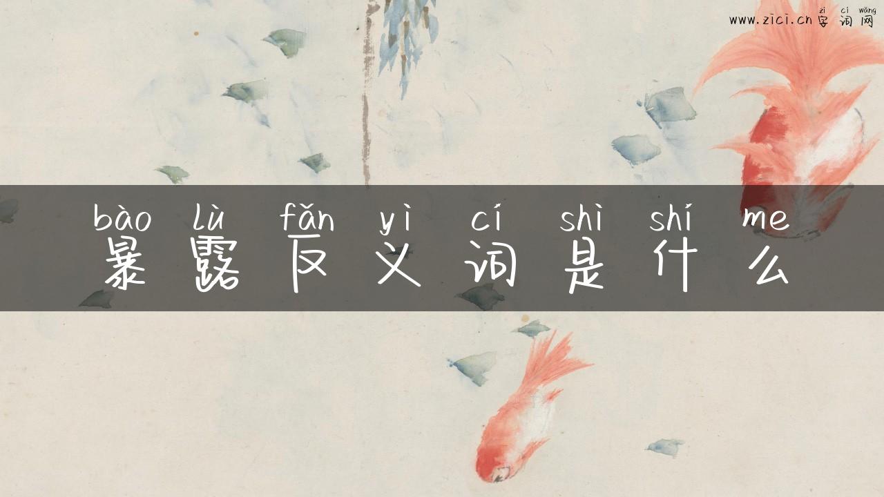 暴露反义词是什么