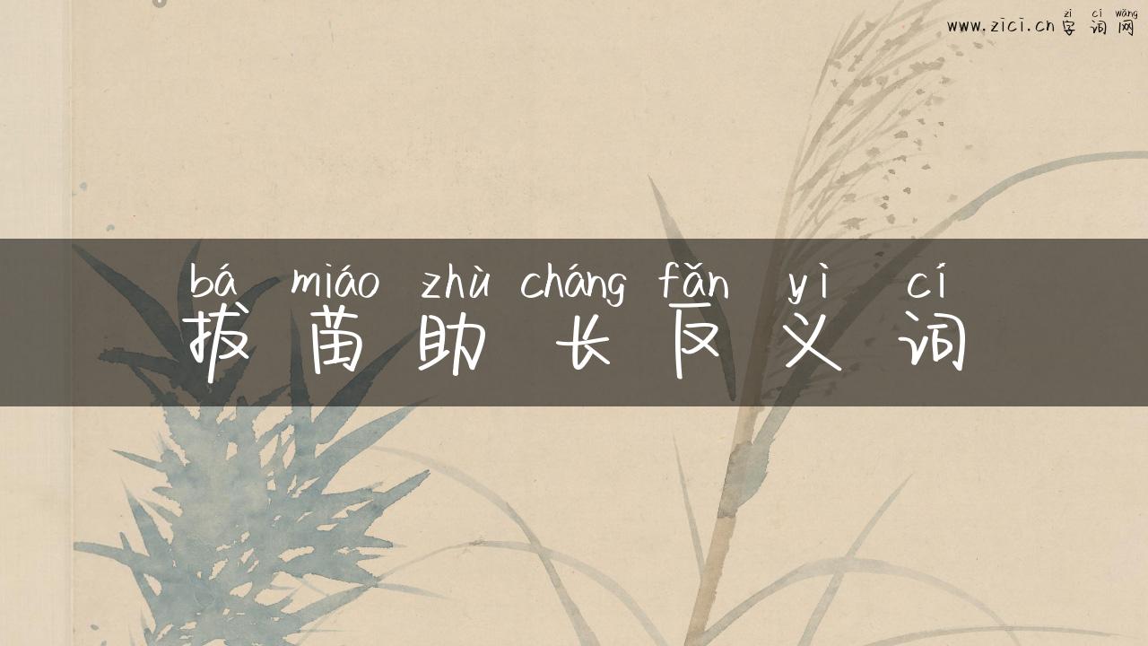 拔苗助长反义词