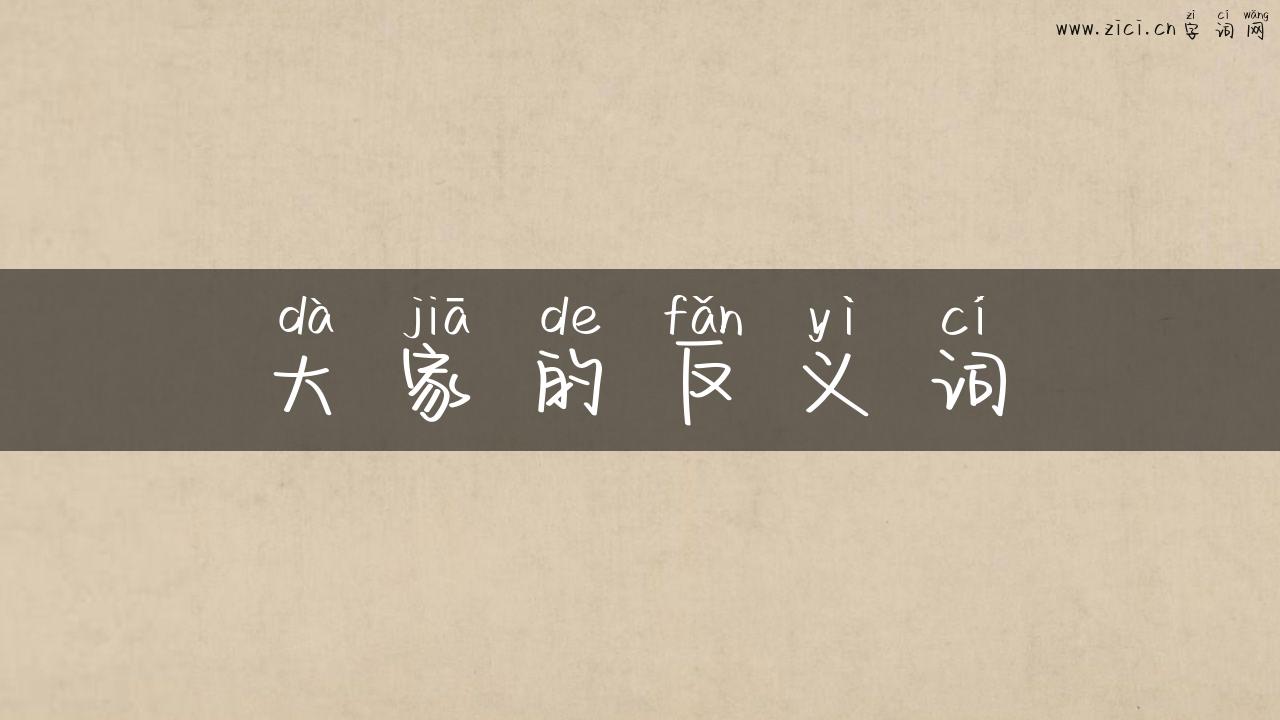 大家的反义词