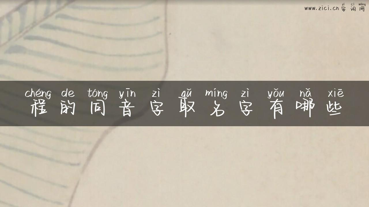 程的同音字取名字有哪些