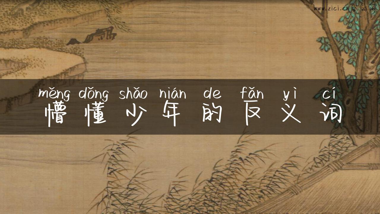 懵懂少年的反义词