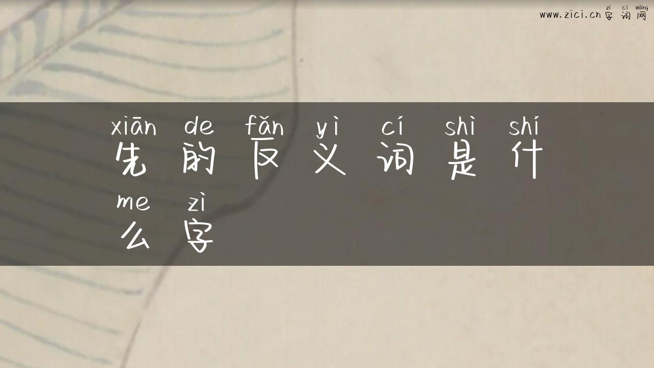 先的反义词是什么字