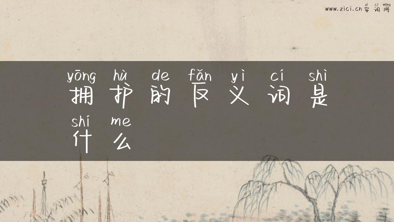 拥护的反义词是什么