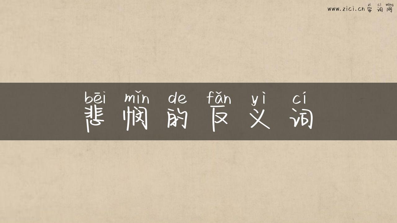 悲悯的反义词