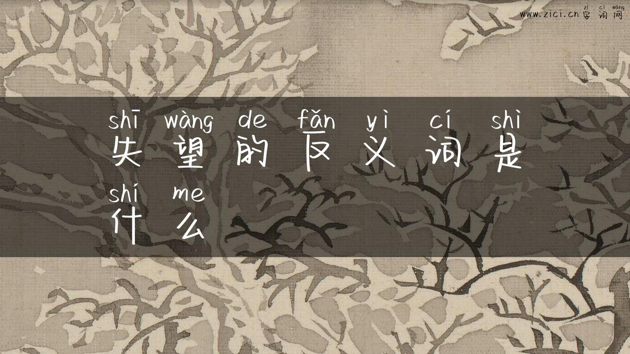 失望的反义词是什么