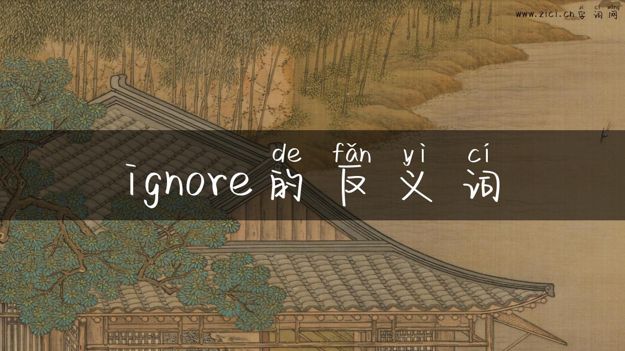 ignore的反义词