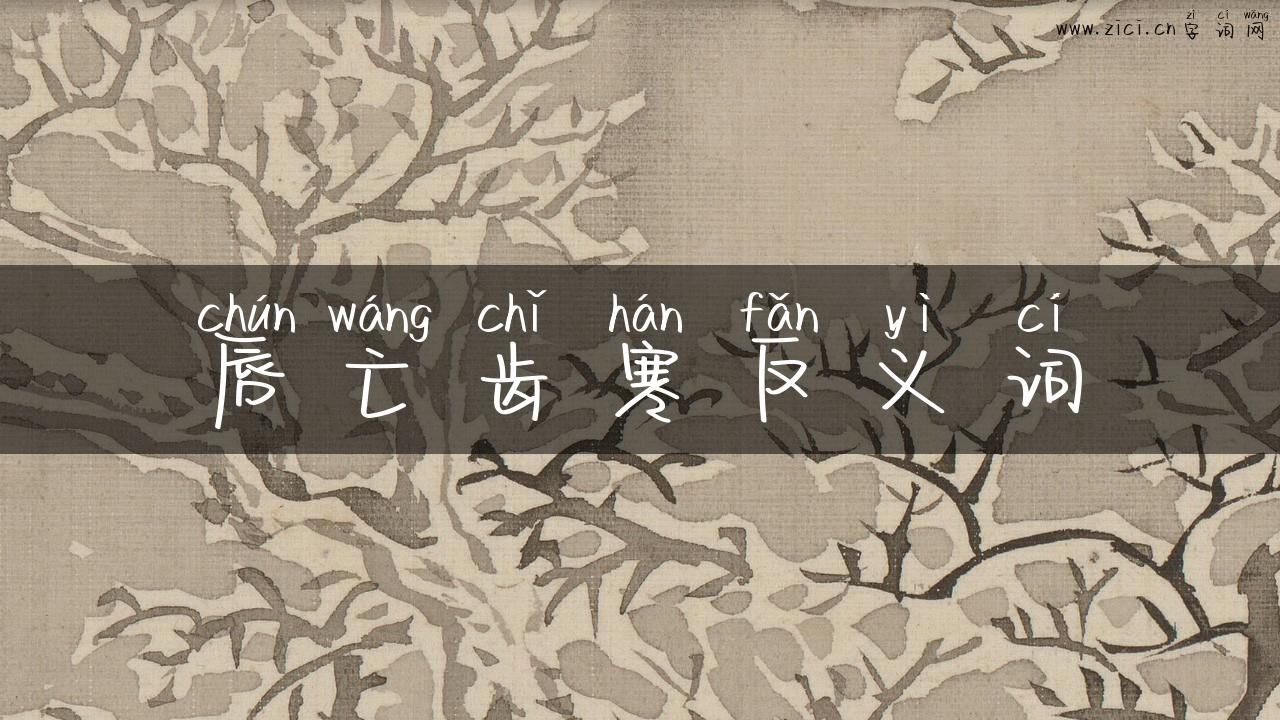 唇亡齿寒反义词