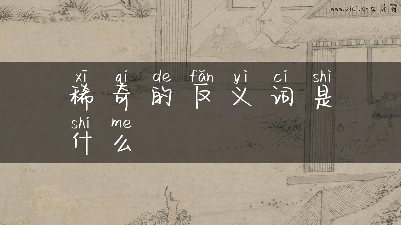 稀奇的反义词是什么