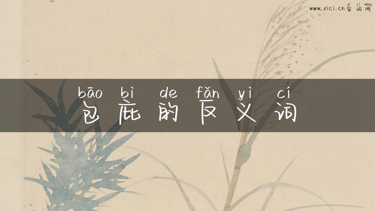 包庇的反义词