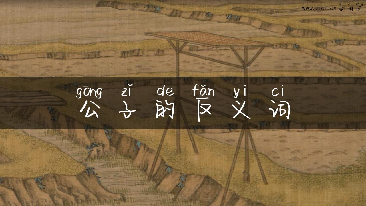 公子的反义词