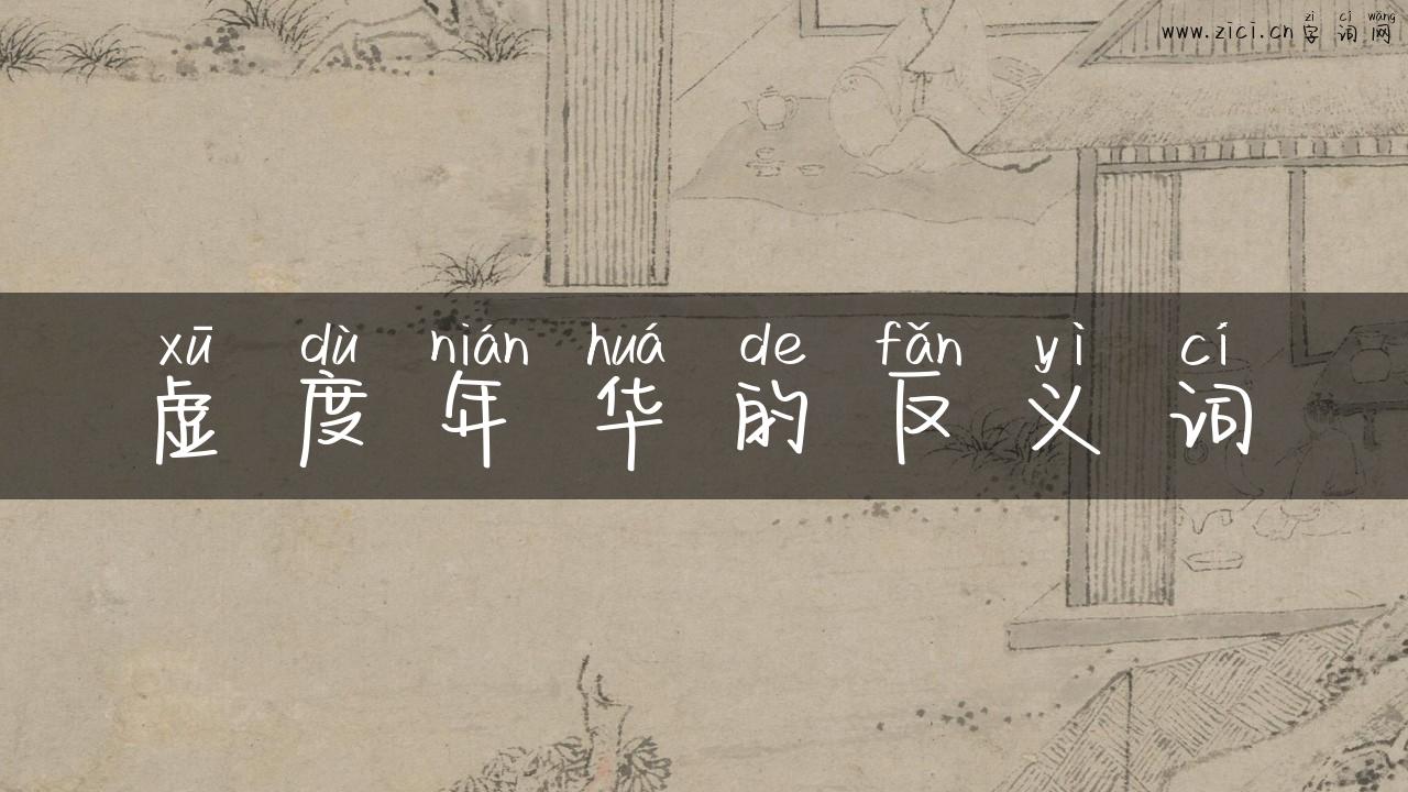 虚度年华的反义词