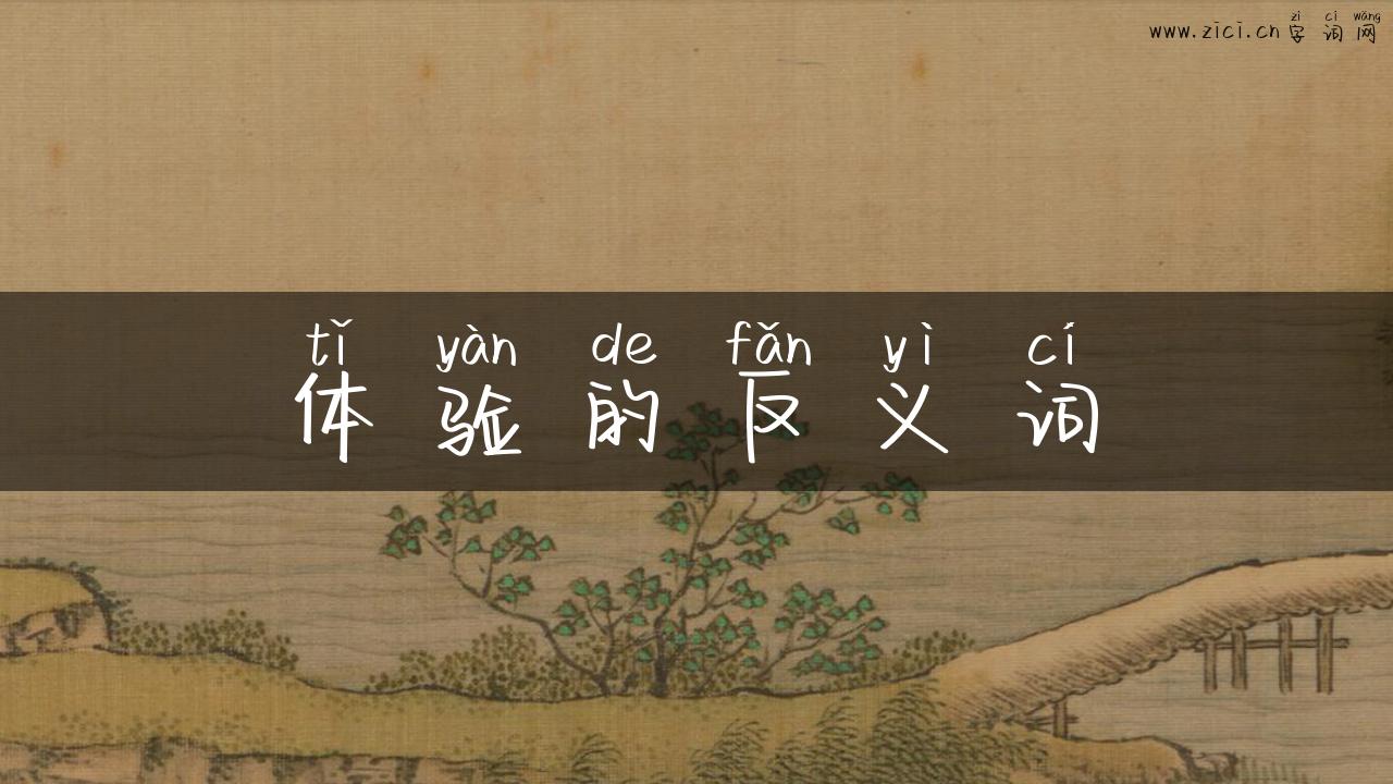 体验的反义词