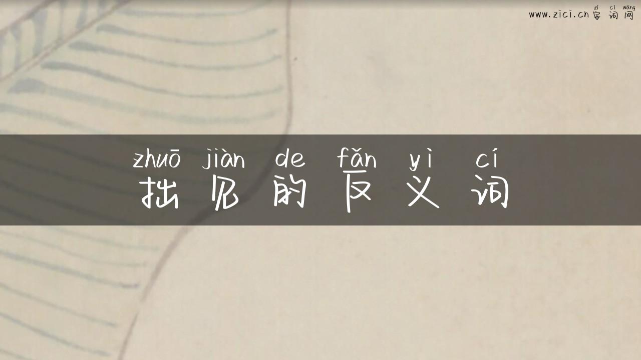 拙见的反义词