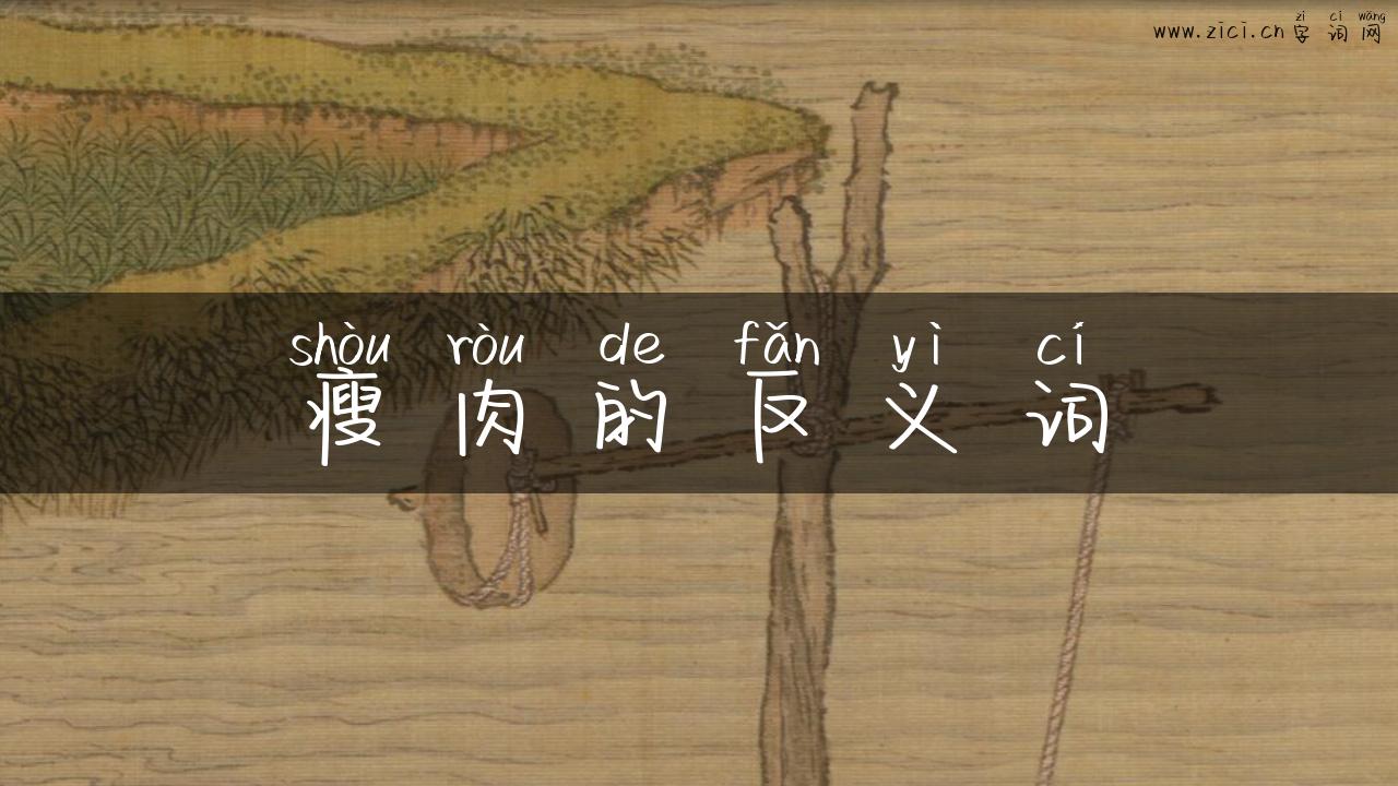 瘦肉的反义词