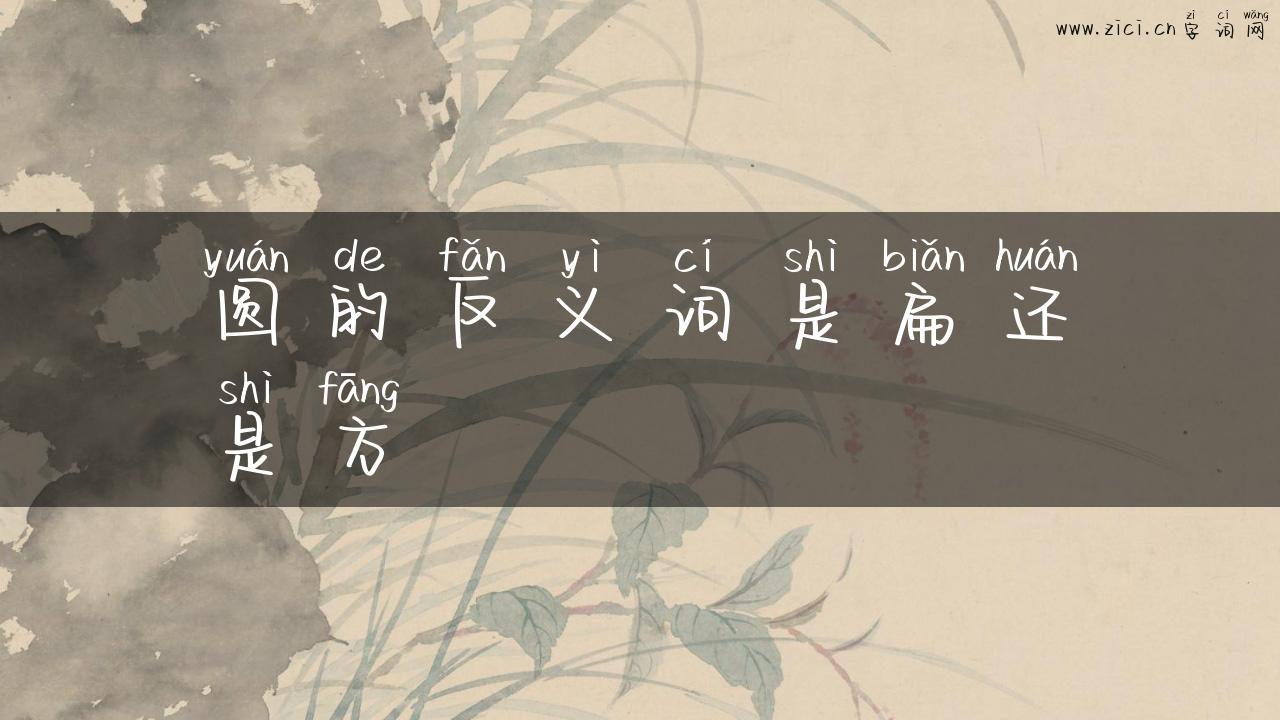 圆的反义词是扁还是方