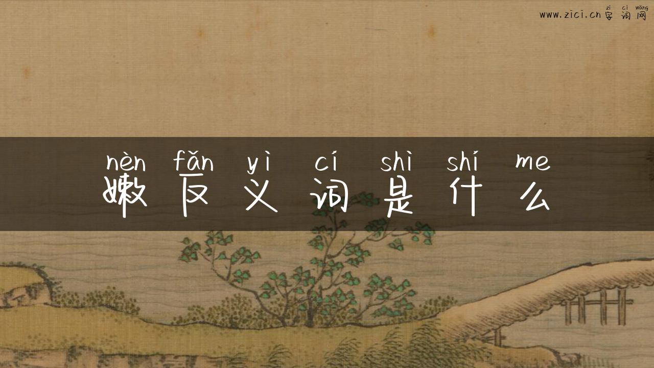 嫩反义词是什么