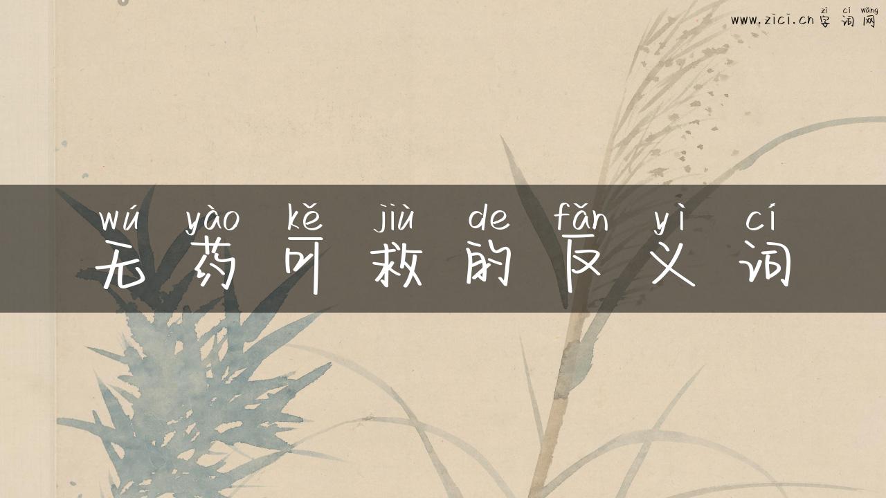 无药可救的反义词