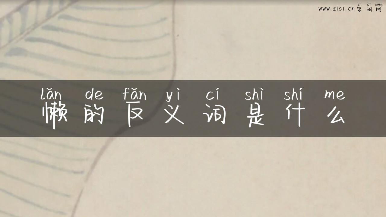 懒的反义词是什么