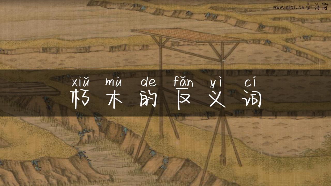 朽木的反义词