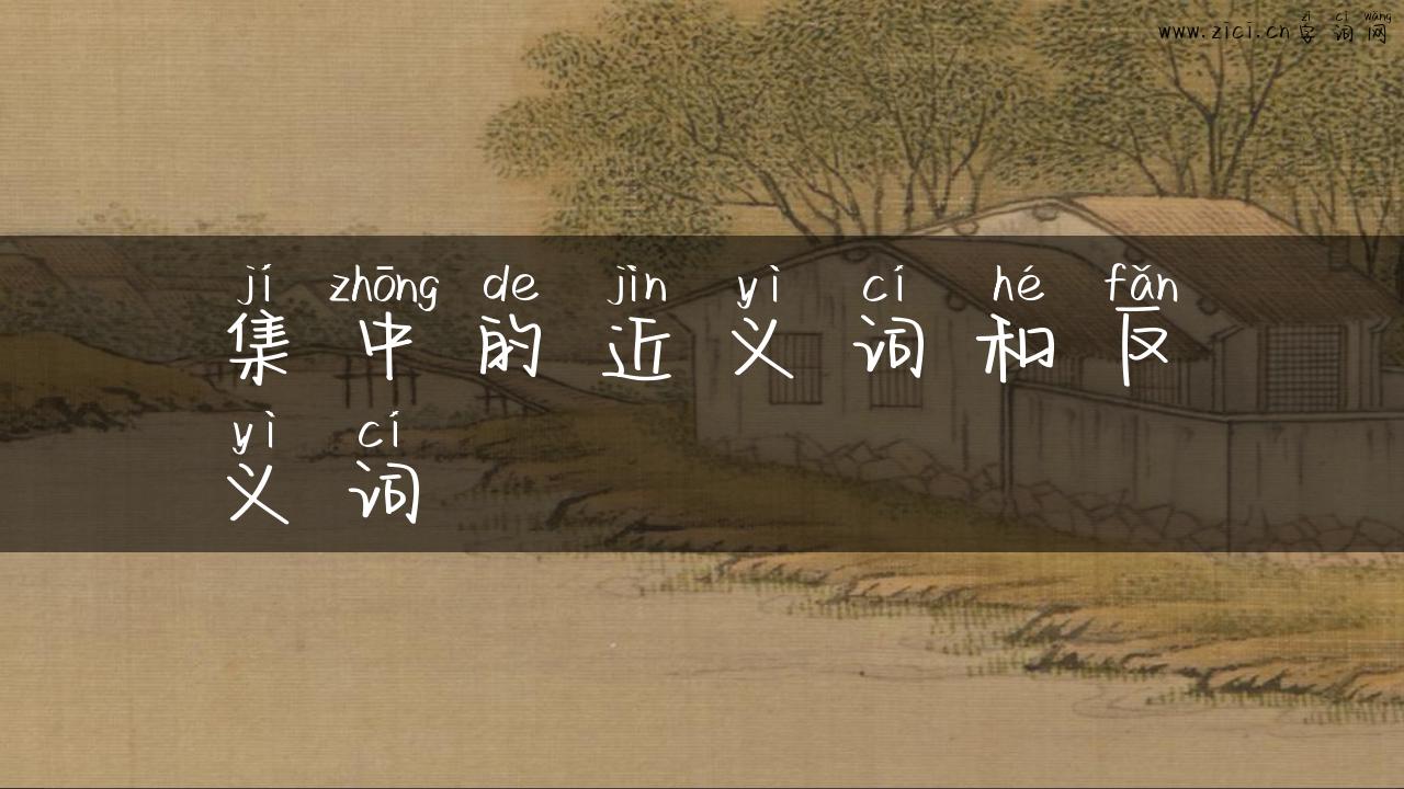 集中的近义词和反义词