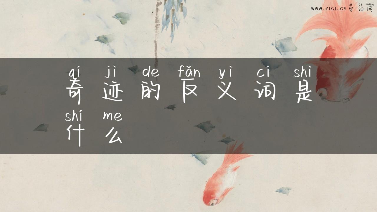 奇迹的反义词是什么