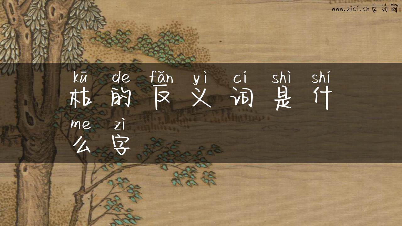 枯的反义词是什么字