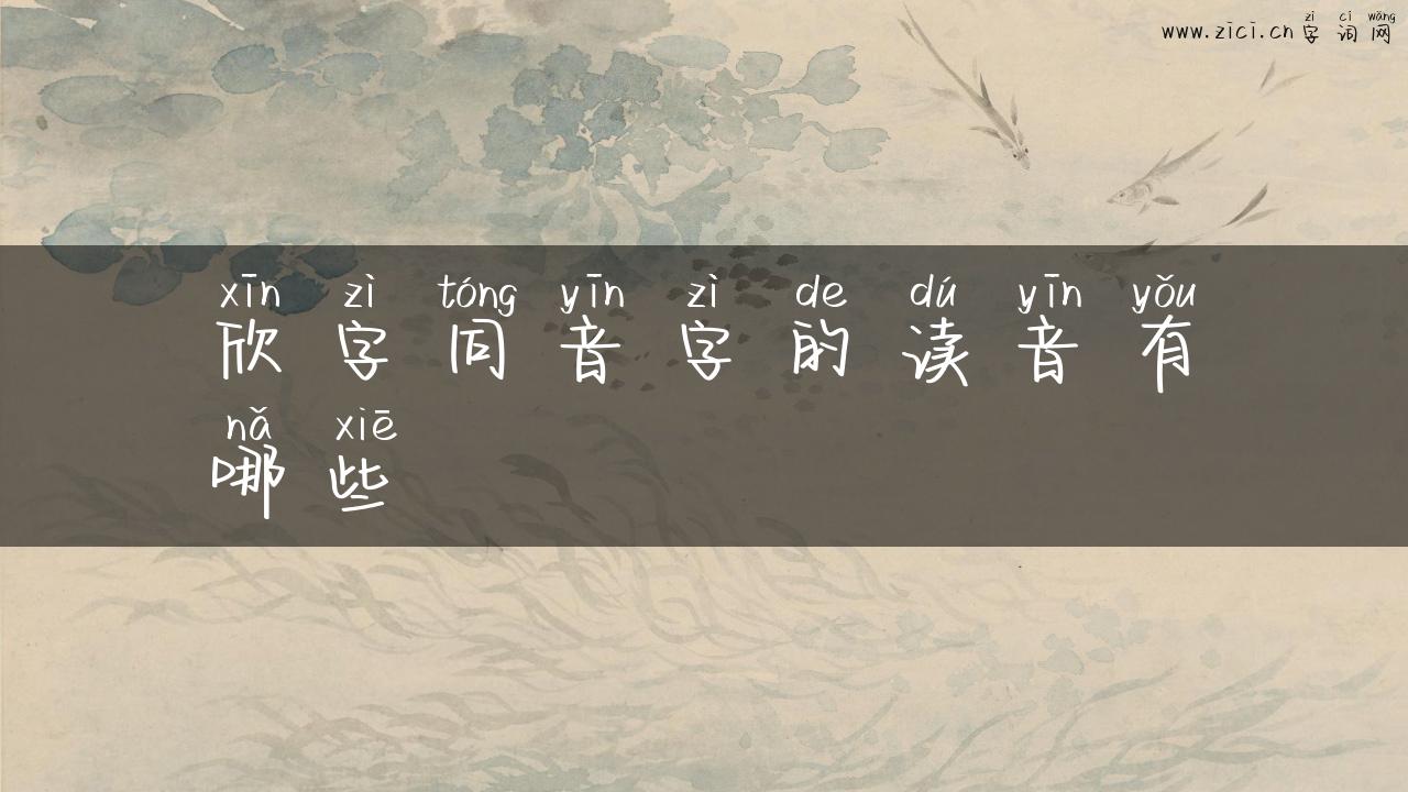 欣字同音字的读音有哪些