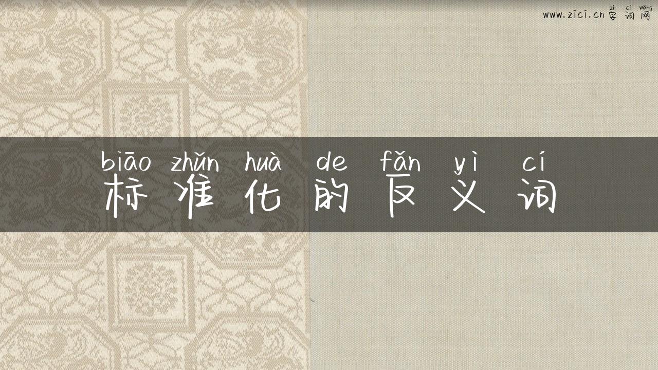 标准化的反义词