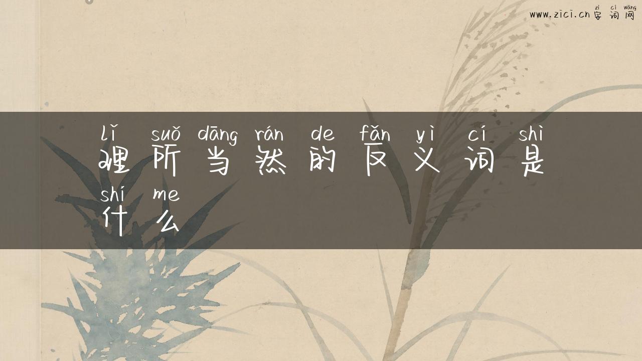 理所当然的反义词是什么