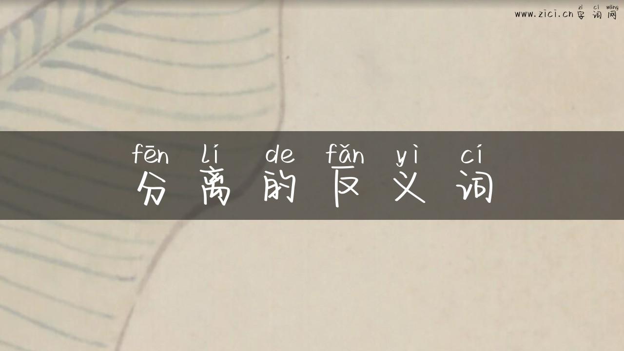 分离的反义词