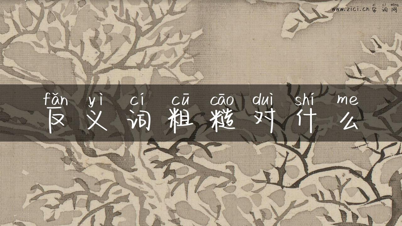 反义词粗糙对什么