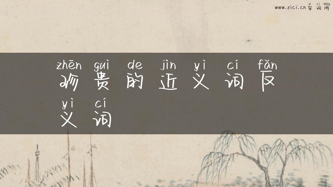 珍贵的近义词反义词