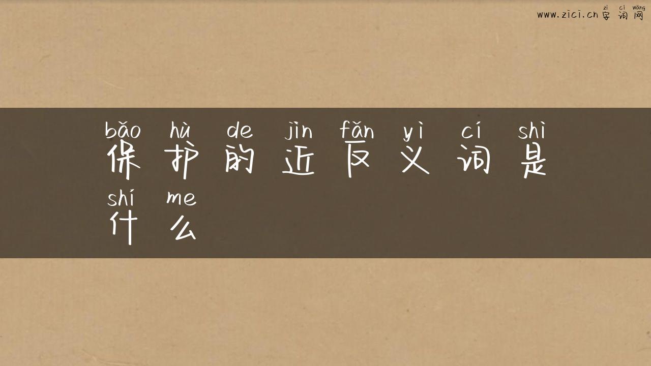 保护的近反义词是什么